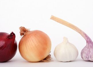 Czy kiszona cebula jest zdrowa?