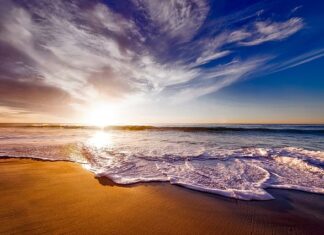 Co daje picie kiszonek?