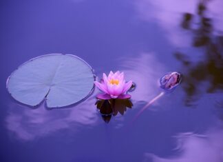 Jak ubrać się elegancko w ciąży?
