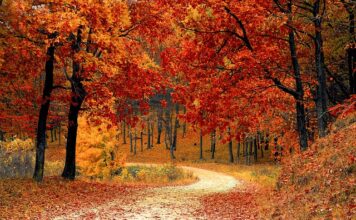 Gdzie kupić naturalne włosy Clip In?