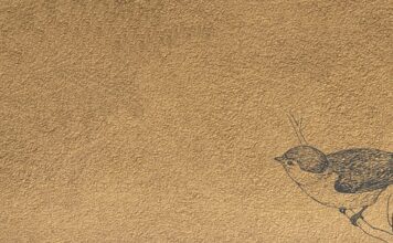 Ile wystaje mankiet?