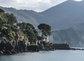 Ile kosztuje przegląd w serwisie?