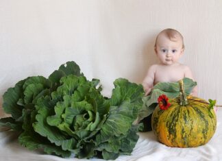 Czemu po kapuście się pierdzi?