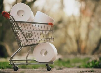 Co jest lepsze dla chomika klatka czy akwarium?