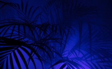 Jak dobrać legginsy Ciążowe?