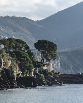 Ile kosztuje klej Super Glue?